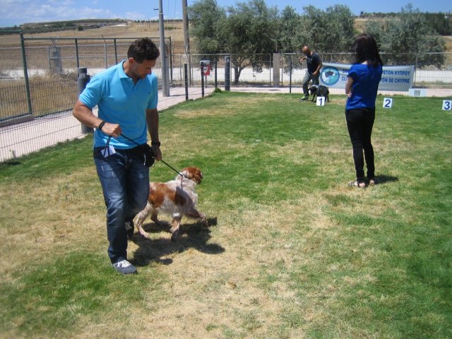 15th national breed show